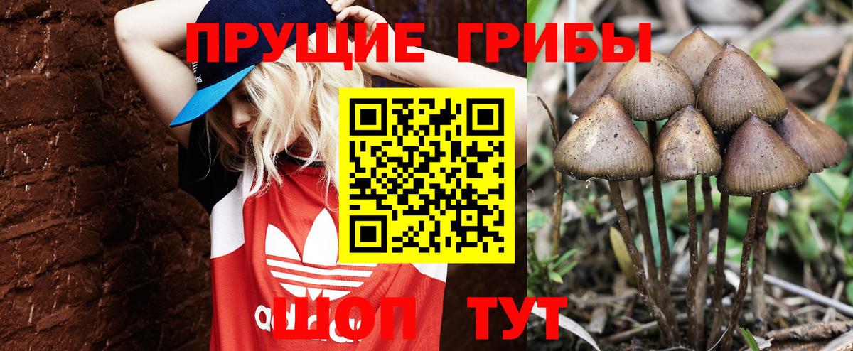 Галлюциногенные грибы Psilocybe Набережные Челны