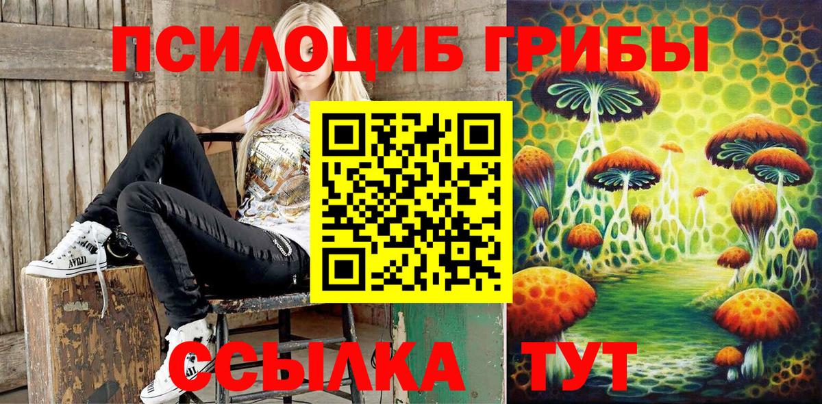 Набережные Челны  магазин продажи наркотиков  Вход с VPN  Псилоцибиновые грибы Cubensis 